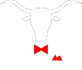 Bullchic Logo